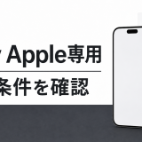 Paidy Apple plan conditions guide