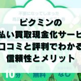 ピクミンの先払い買取現金化サービス:口コミと評判で分かる信頼性とメリット